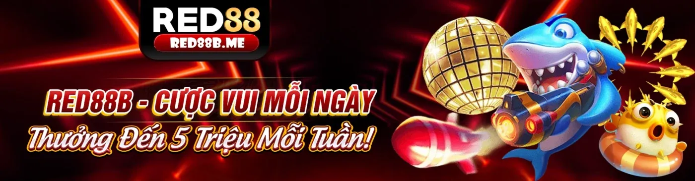 Trải nghiệm cá cược trực tiếp